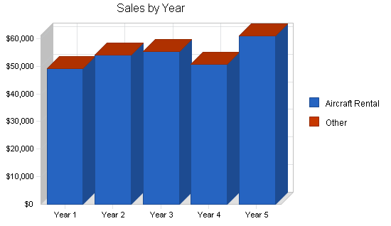 Aircraft rental instruction business plan, strategy and implementation summary chart image