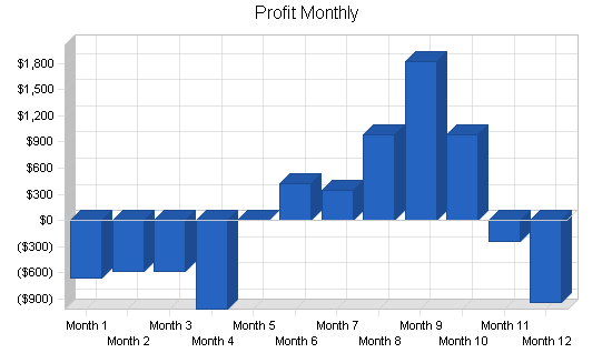 Fishing shop business plan, financial plan chart image