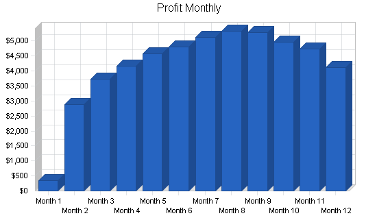 Commercial photography business plan, financial plan chart image