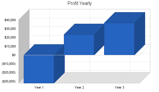 Skate park skiing business plan, financial plan chart image