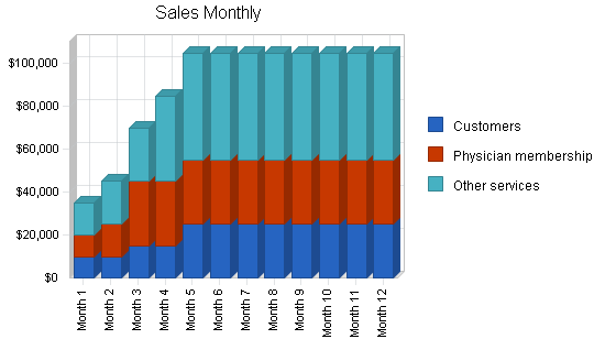 Medical services management business plan, strategy and implementation summary chart image