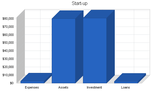 Auto parts store business plan, company summary chart image