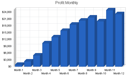 Outsourced computer support business plan, financial plan chart image