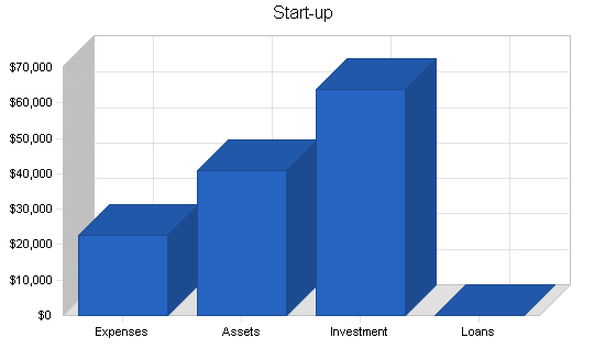 Maternity clothing online business plan, company summary chart image