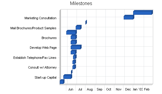 Specialty gifts business plan, strategy and implementation summary chart image