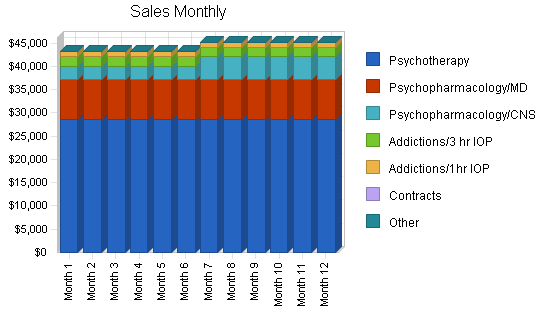 Psychological health center business plan, strategy and implementation summary chart image