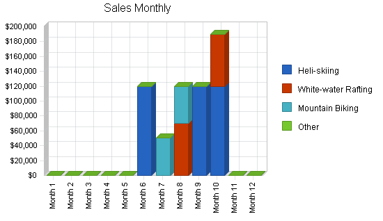 Travel agency business plan, strategy and implementation summary chart image