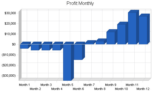 Music recording distribution business plan, financial plan chart image