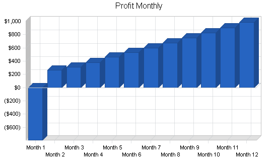 Womens boutique shoe store business plan, financial plan chart image