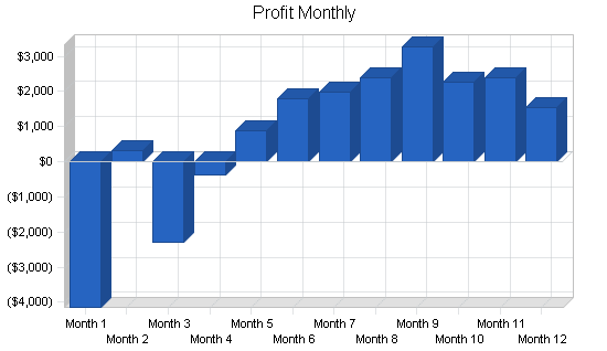 Newsletter publishing business plan, financial plan chart image