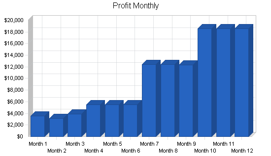 Information technology business plan, financial plan chart image