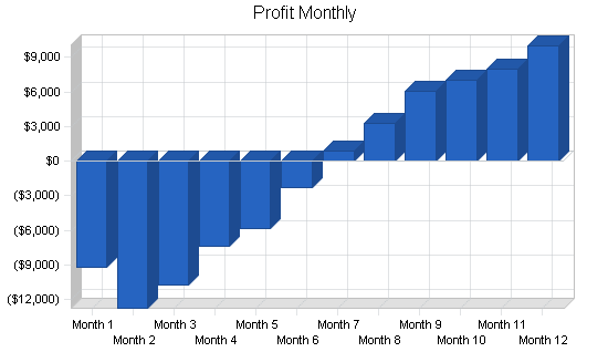 Manufacturing - custom parts business plan, financial plan chart image