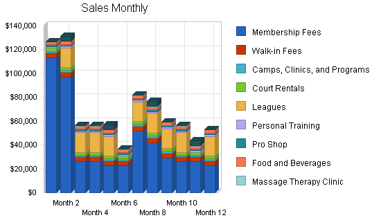 Multi sport complex business plan, strategy and implementation summary chart image