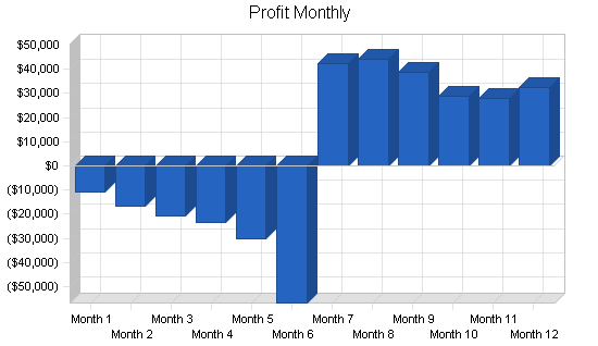 Steak buffet restaurant business plan, financial plan chart image