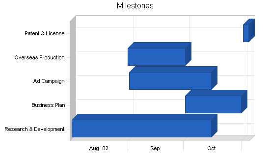 Massage products business plan, strategy and implementation summary chart image