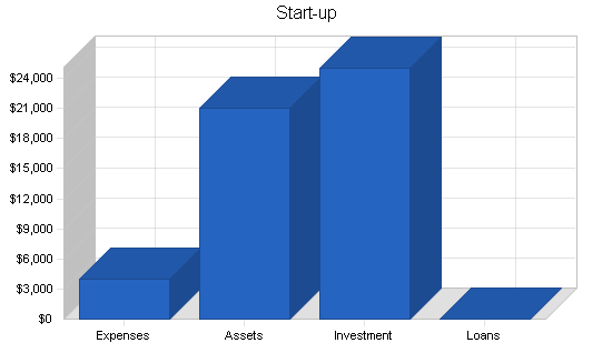 Video documentation service business plan, company summary chart image