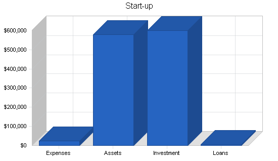 Spa health club business plan, company summary chart image