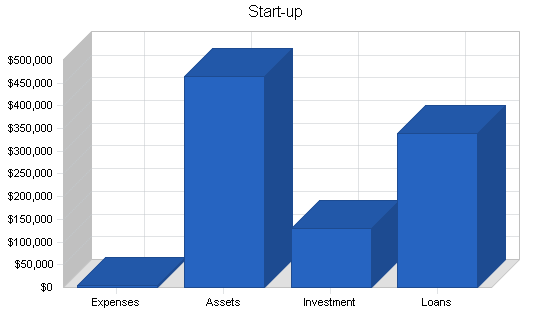 Mopeds rental business plan, company summary chart image