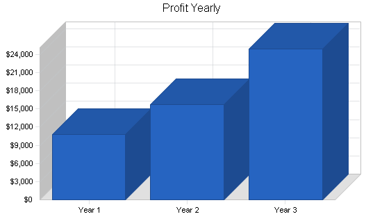 Skateboard gear retail business plan, financial plan chart image