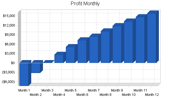 Martial arts school business plan, financial plan chart image