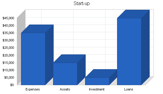 Family chiropractic business plan, company summary chart image