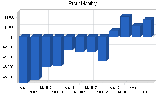 Skate park skiing business plan, financial plan chart image