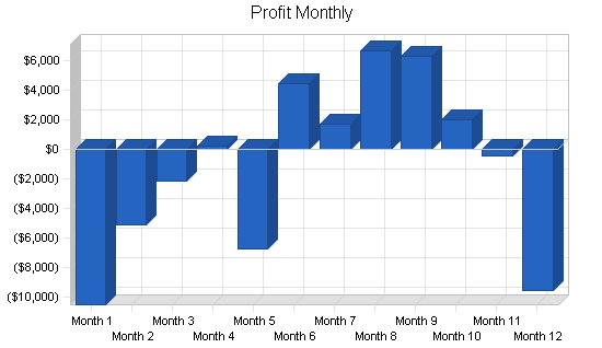 Lingerie retail clothing store business plan, financial plan chart image