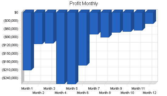 Shipment monitoring business plan, financial plan chart image