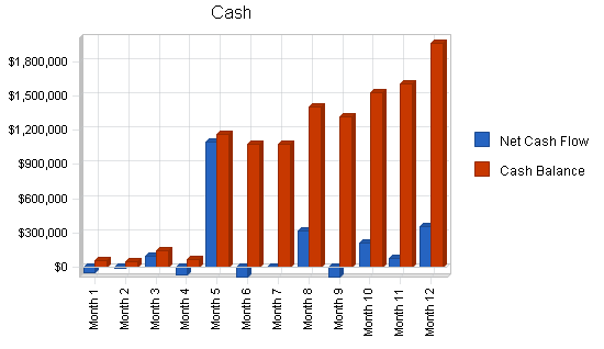 Industry-specific software business plan, financial plan chart image