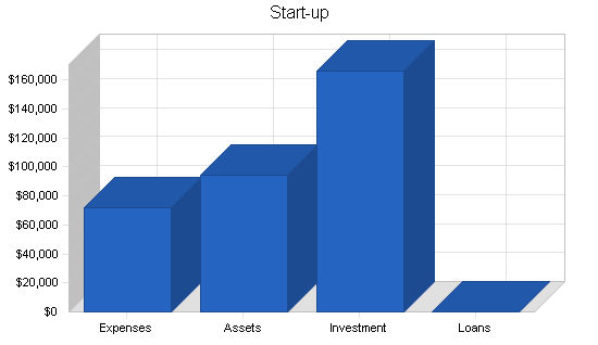 Gifts novelties souvenir business plan, company summary chart image