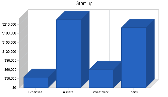 Musical instrument store business plan, company summary chart image