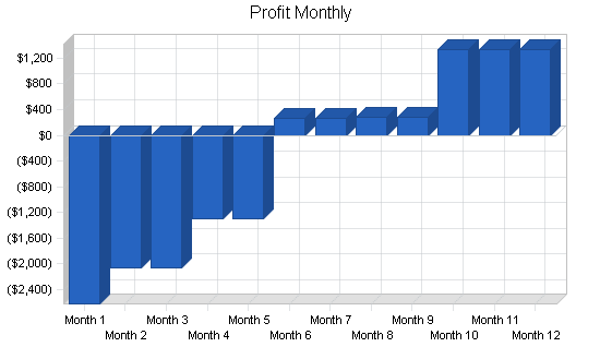 Scrapbooking store business plan, financial plan chart image