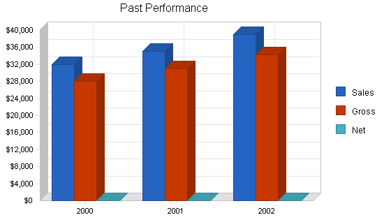 Physical therapy massage business plan, company summary chart image