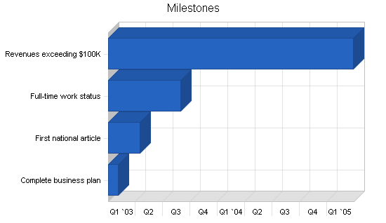 Magazine journalist business plan, strategy and implementation summary chart image