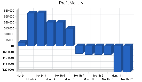 Resort hotel ski lodge business plan, financial plan chart image