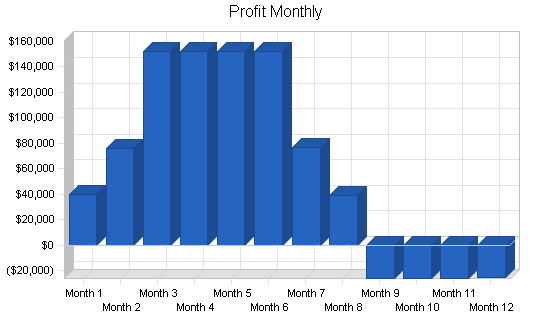 Amusement park business plan, financial plan chart image