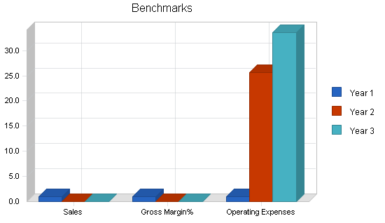 Regional airline business plan, financial plan chart image