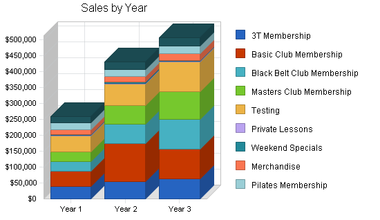 Martial arts school business plan, strategy and implementation summary chart image