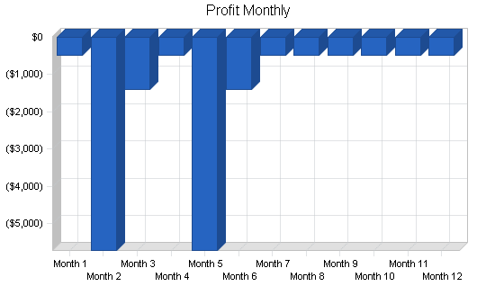 Music recording producer business plan, financial plan chart image