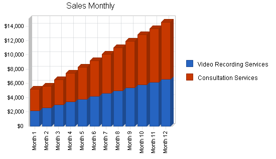 Video documentation service business plan, strategy and implementation summary chart image