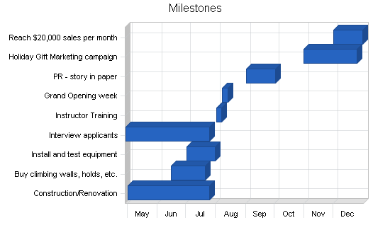 Rock climbing gym business plan, strategy and implementation summary chart image