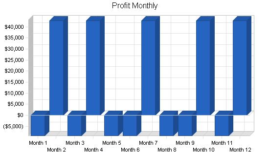 Display case marketing business plan, financial plan chart image