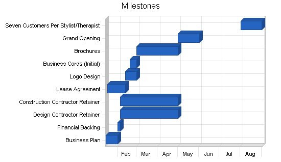 Health spa business plan, strategy and implementation summary chart image