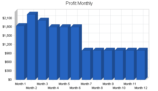 Sbp, engineering consulting business plan, financial plan chart image