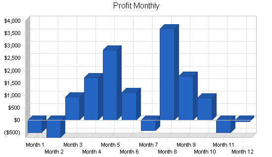 Skateboard gear retail business plan, financial plan chart image