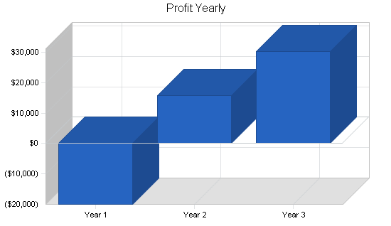 Independent video store business plan, financial plan chart image