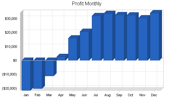 Internet media advertising business plan, financial plan chart image