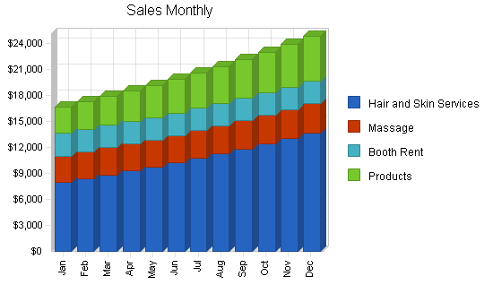 Hair replacement and salon business plan, strategy and implementation summary chart image