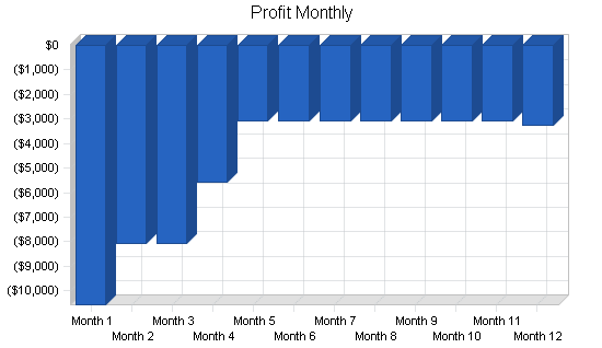 Online services business plan, financial plan chart image