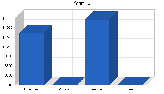 Computer consulting business plan, company summary chart image